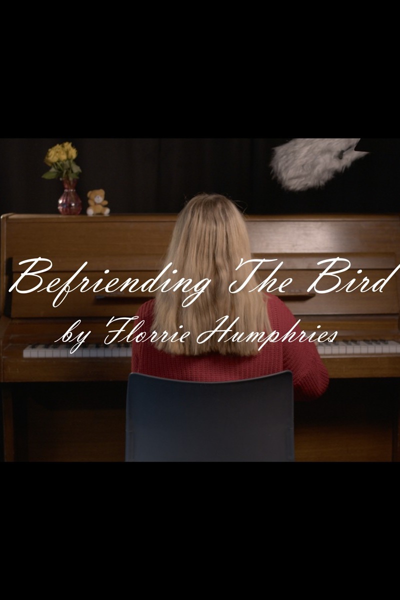 Befriending the Bird